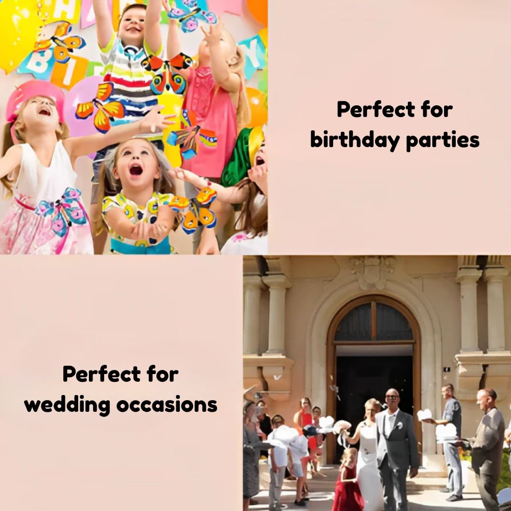 FlyButterfly™ – Die magische fliegende Überraschung ✨